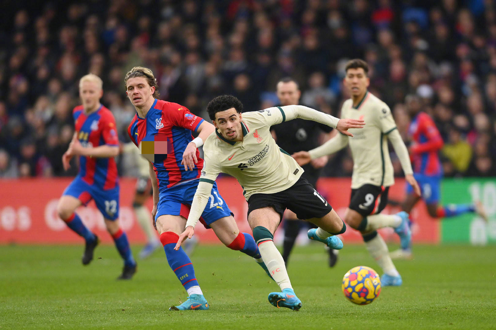 这里不仅是 这里不仅是